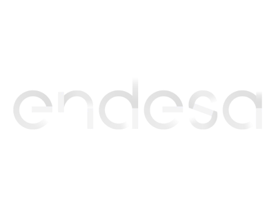 Endesa Clientes